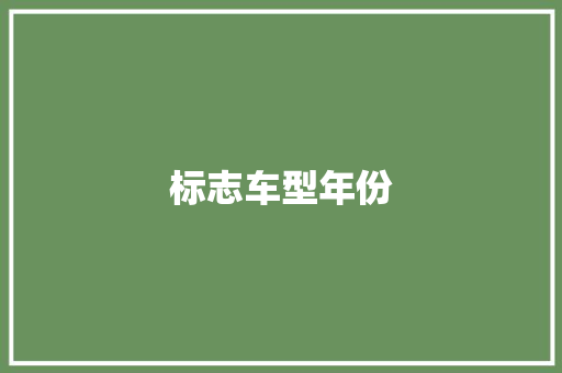 标志车型年份