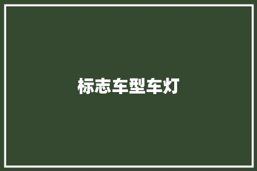 标志车型车灯