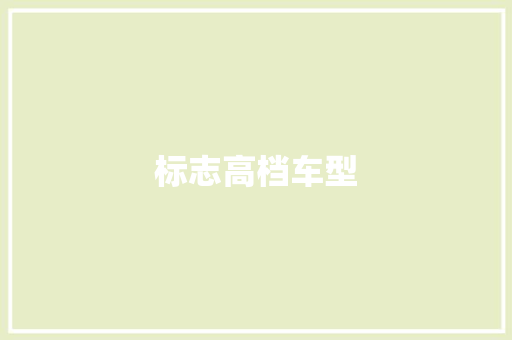 标志高档车型