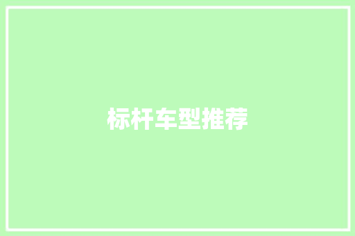 标杆车型推荐