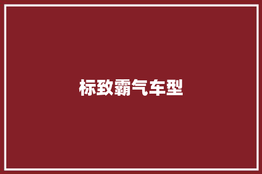 标致霸气车型