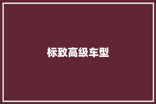 标致高级车型
