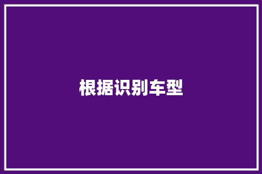 根据识别车型