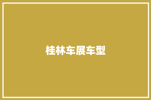 桂林车展车型