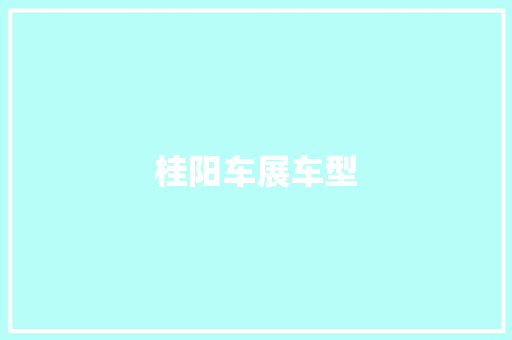 桂阳车展车型