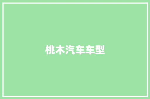 桃木汽车车型