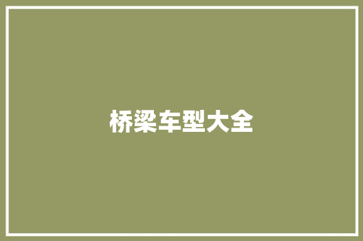 桥梁车型大全