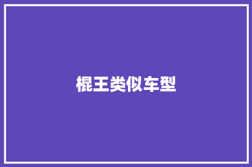 棍王类似车型