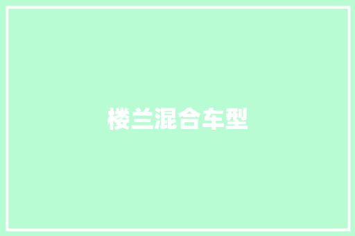 楼兰混合车型