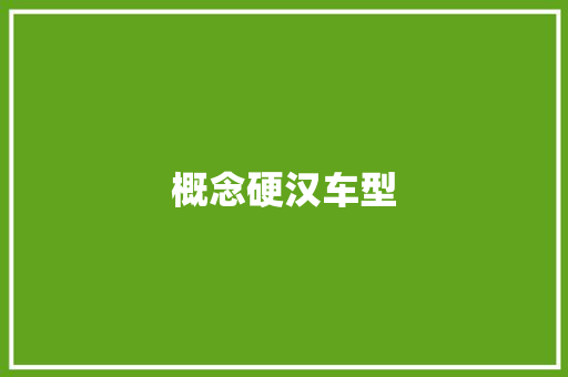 概念硬汉车型