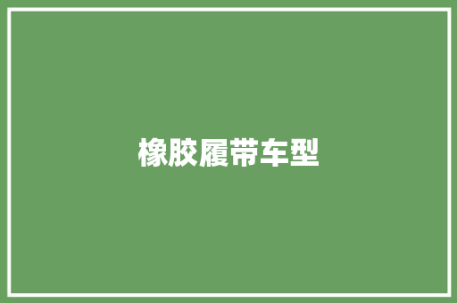 橡胶履带车型