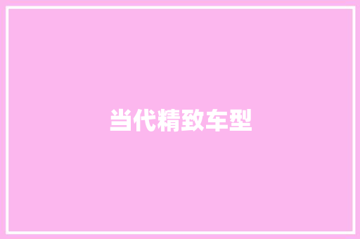 当代精致车型