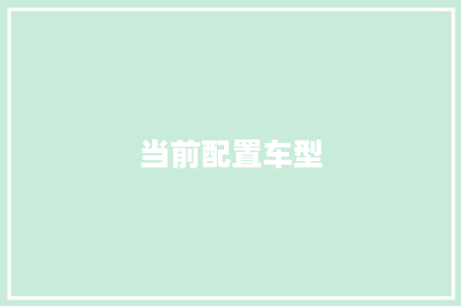 当前配置车型