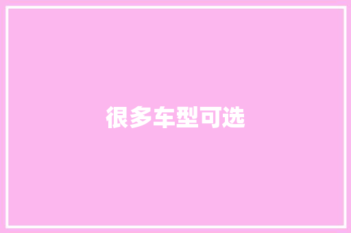 很多车型可选