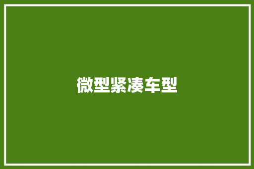 微型紧凑车型