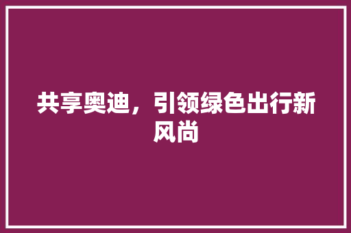 共享奥迪，引领绿色出行新风尚