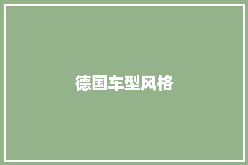德国车型风格