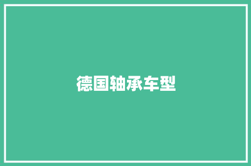 德国轴承车型