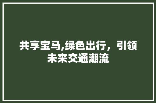 共享宝马,绿色出行，引领未来交通潮流