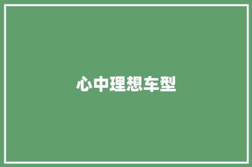 心中理想车型