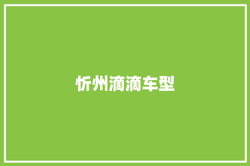 忻州滴滴车型