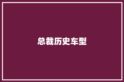 总裁历史车型