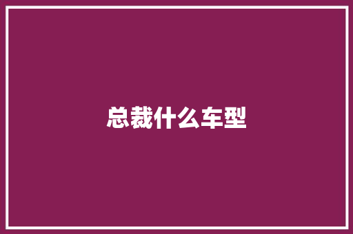 总裁什么车型