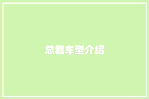 总裁车型介绍