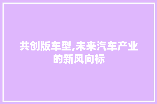 共创版车型,未来汽车产业的新风向标