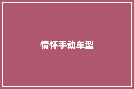 情怀手动车型
