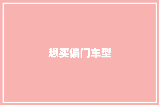 想买偏门车型
