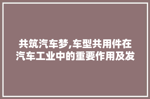 共筑汽车梦,车型共用件在汽车工业中的重要作用及发展前景