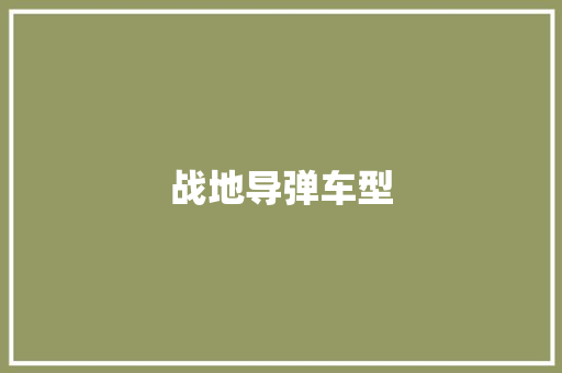 战地导弹车型