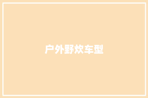 户外野炊车型