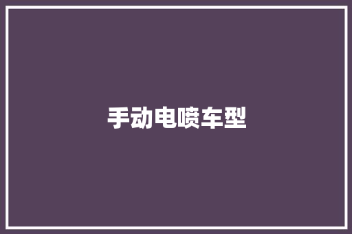 手动电喷车型