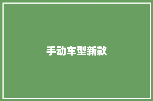 手动车型新款
