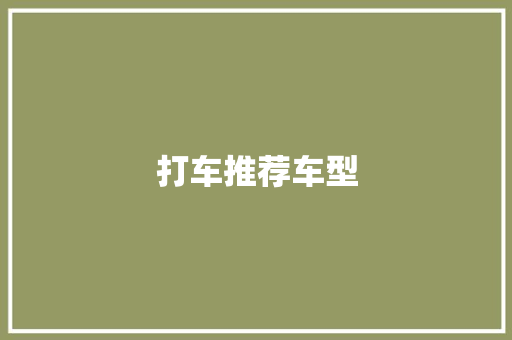 打车推荐车型
