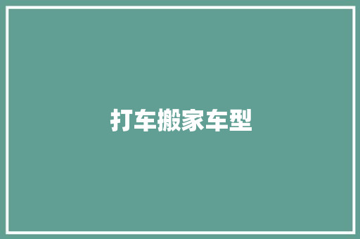 打车搬家车型