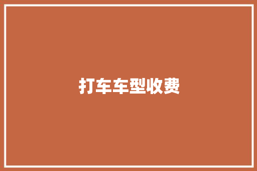 打车车型收费