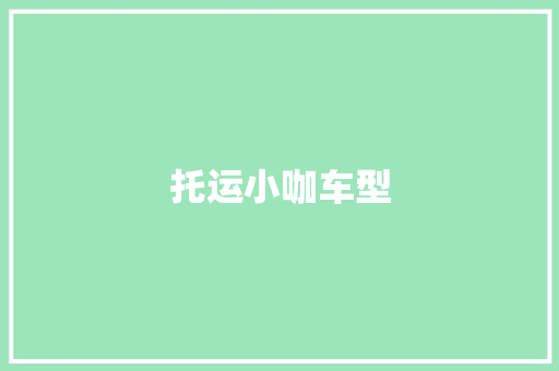 托运小咖车型