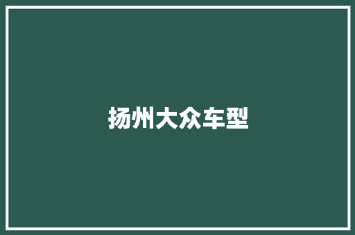扬州大众车型