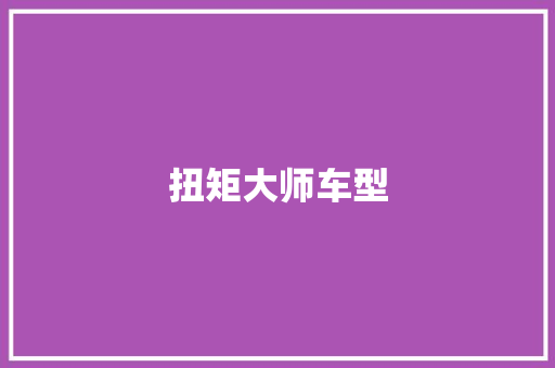 扭矩大师车型