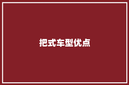 把式车型优点