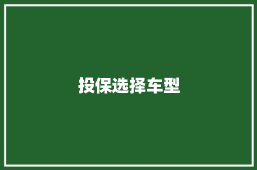 投保选择车型