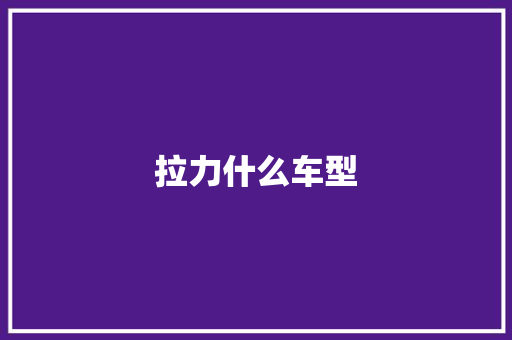拉力什么车型