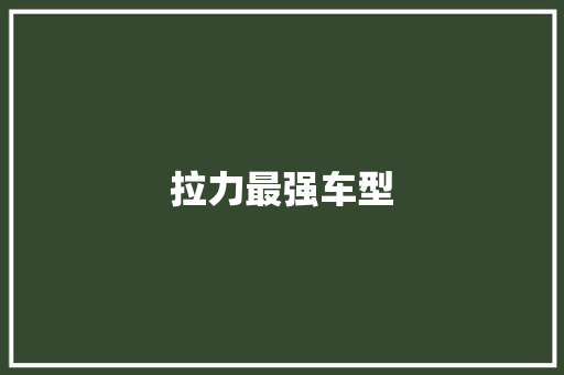 拉力最强车型