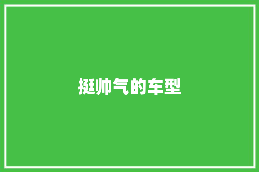 挺帅气的车型