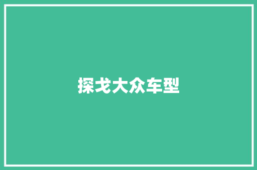 探戈大众车型