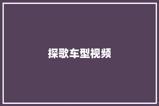探歌车型视频