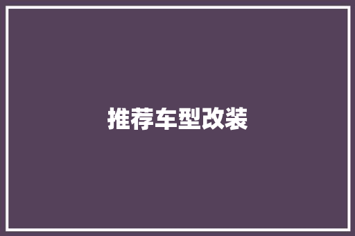 推荐车型改装